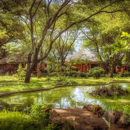Amboseli Sopa Lodge Esterno foto